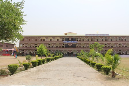 Divine Mercy School Orai